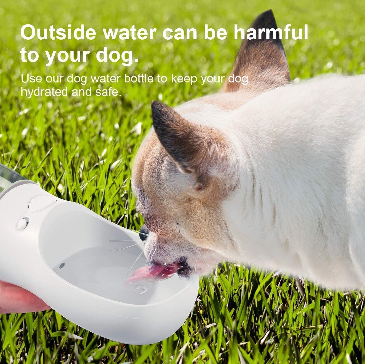 Portable Leak-Proof Dog Water Bottle with Drinking Feeder for Travel - 12oz Milk White